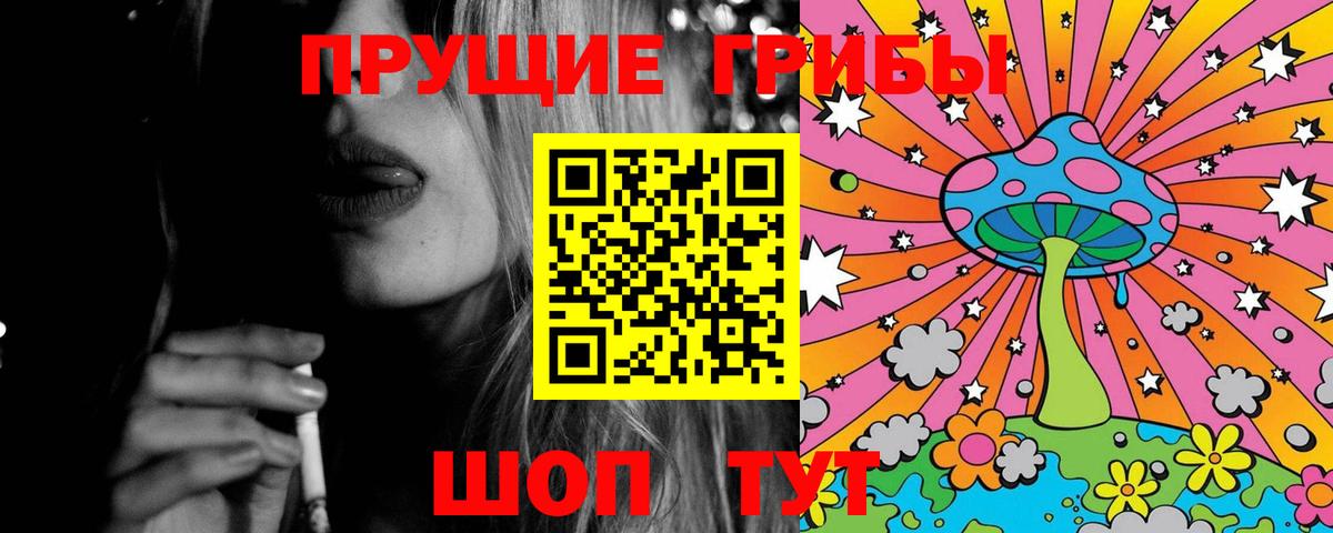 Галлюциногенные грибы Psilocybe  Вход с VPN  Воронеж 